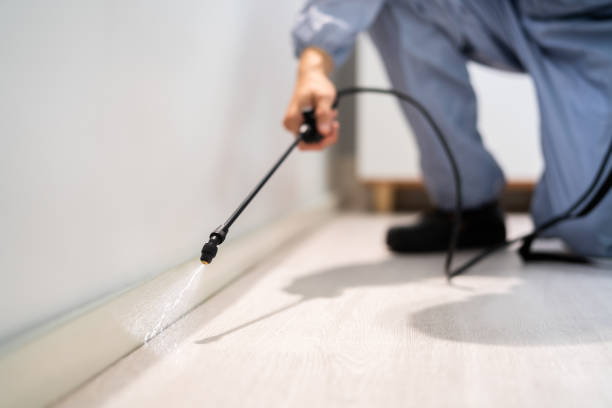 Professional exterminator conducting IPM assessment in Jacksonville Beach